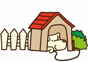 庭の犬小屋にいる犬